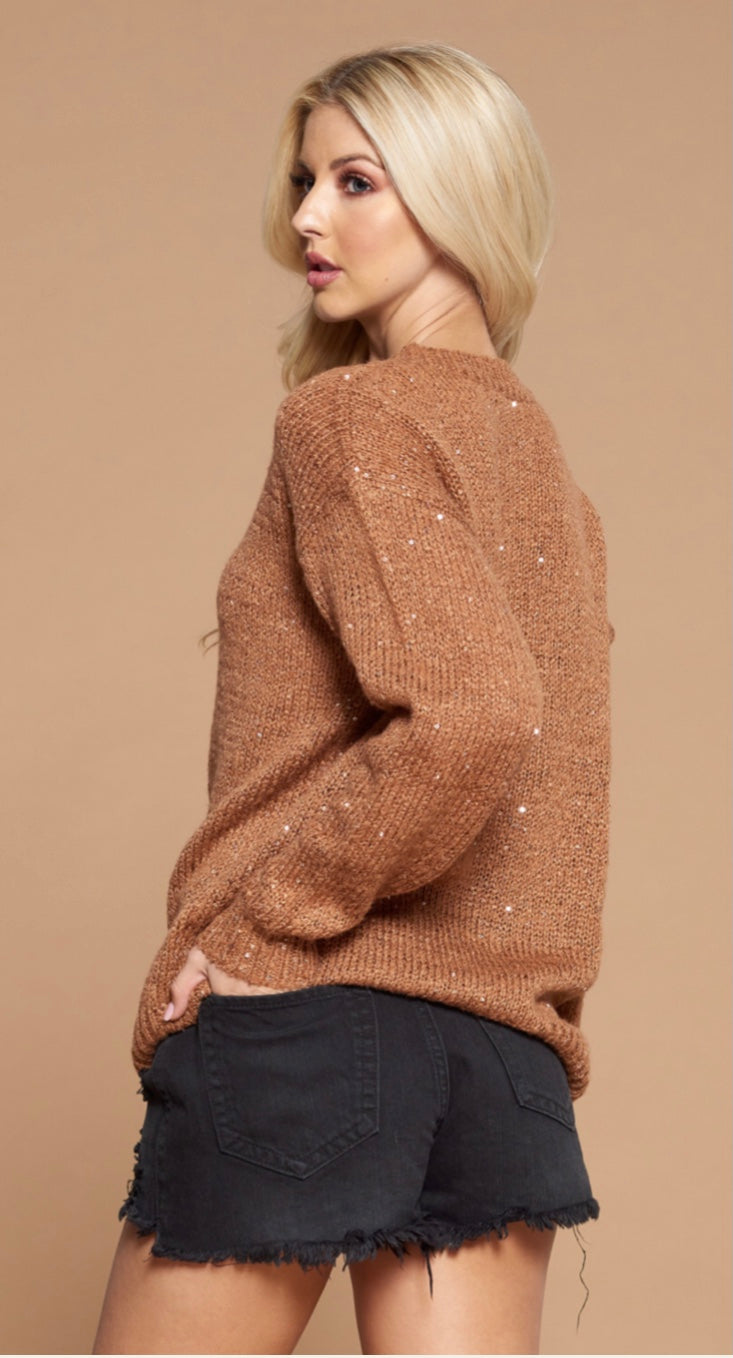 Cozy Twinkle Knit  Sweater