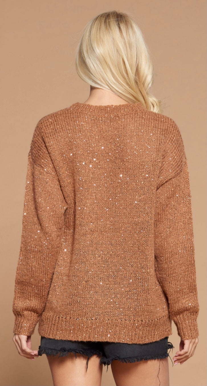 Cozy Twinkle Knit  Sweater